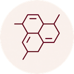 files/23_56498a0a-7c38-4b81-8b03-afdabb6e38b6.png